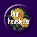 Our Newsletter